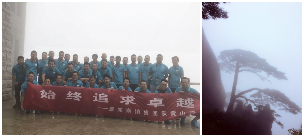 威尼斯9499登录入口(中国)有限公司官网